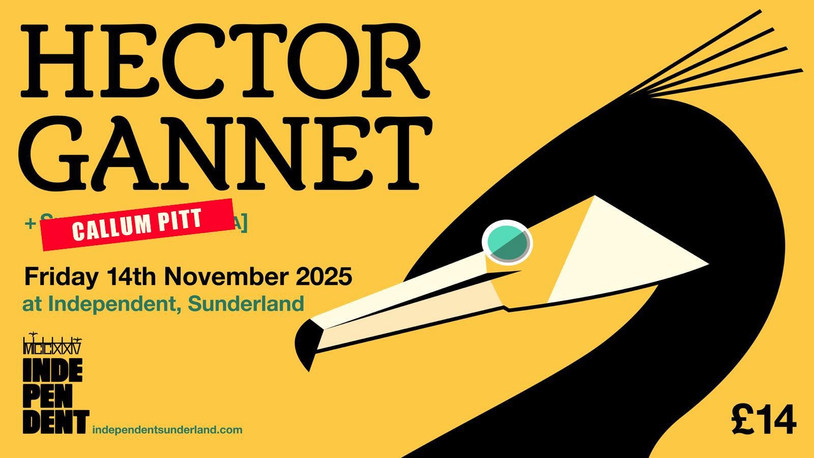 Hector Gannet + Callum Pitt