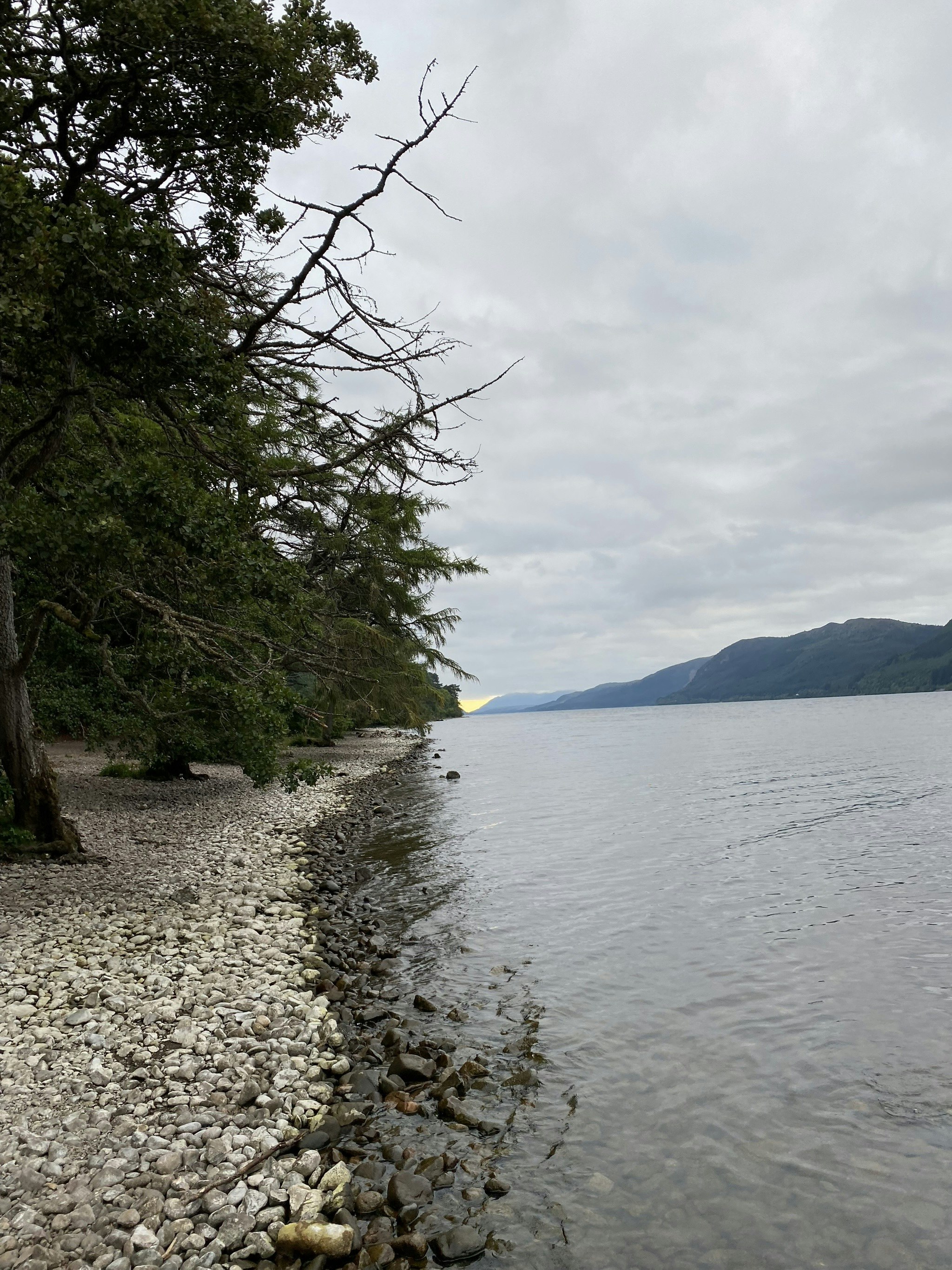 Sheila’s Island By Tim Firth