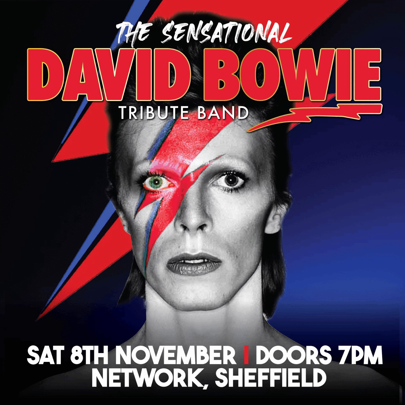 The Sensational David Bowie Tribute Band | Network