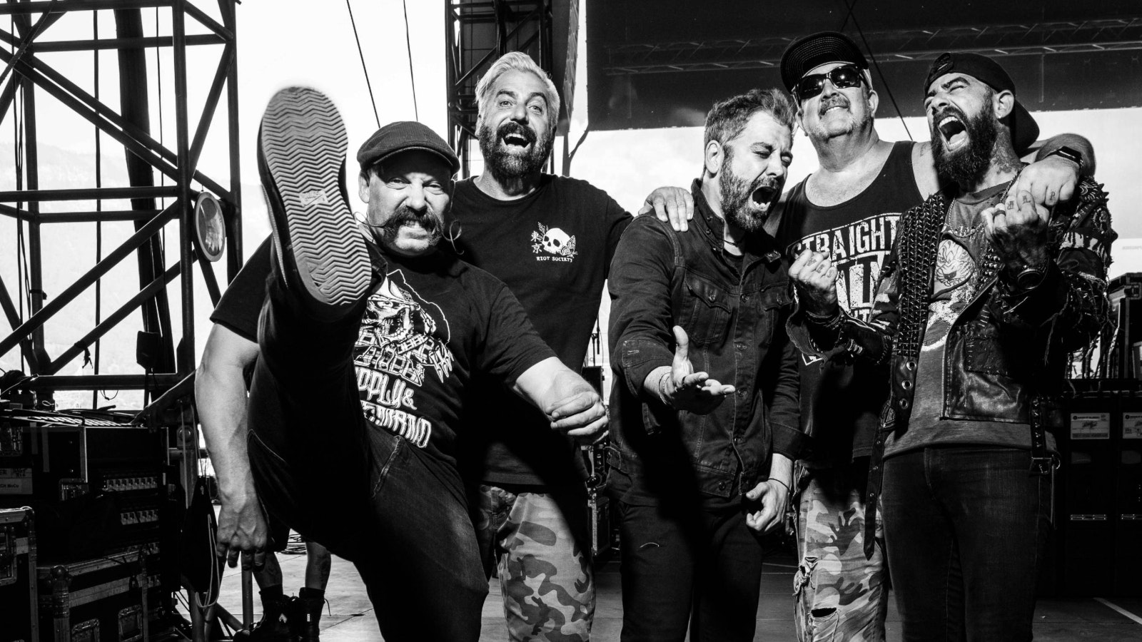 Zebrahead