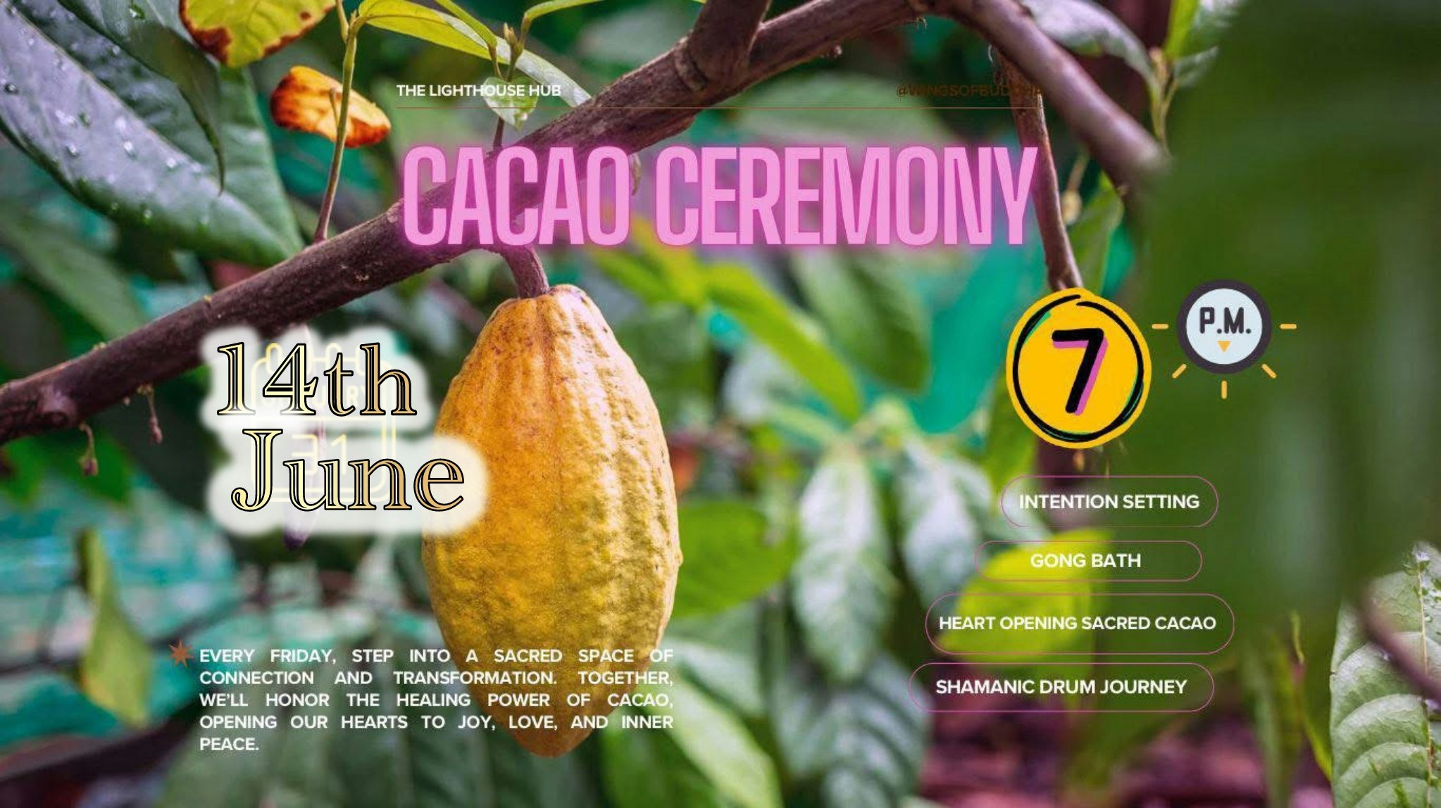 Sacred Blue Lotus Cacao Ceremony (Saturday 14th June) @ The Lighthouse Hub 1PM