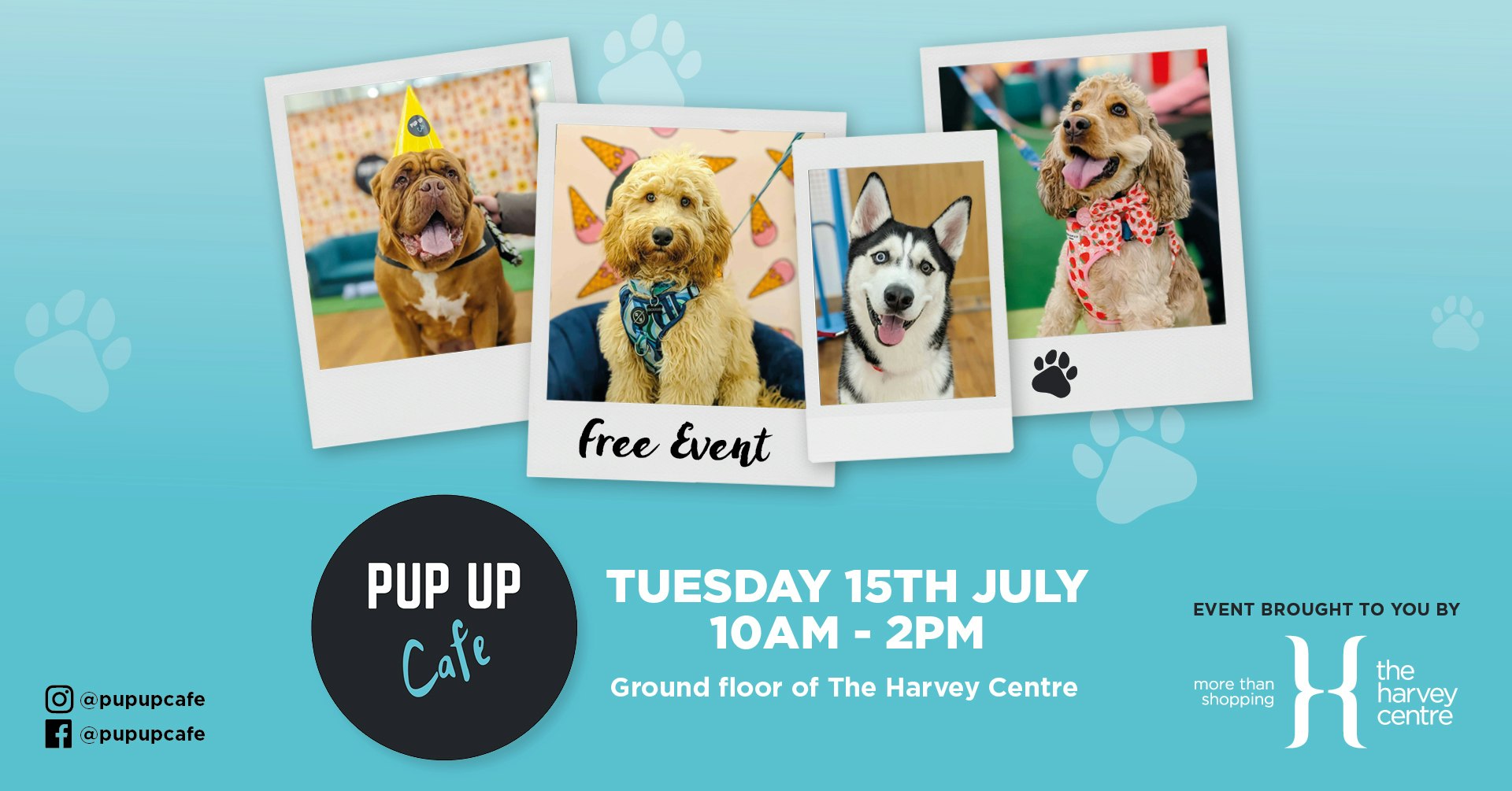 FREE: Pup Up Cafe at The Harvey Centre 🐶