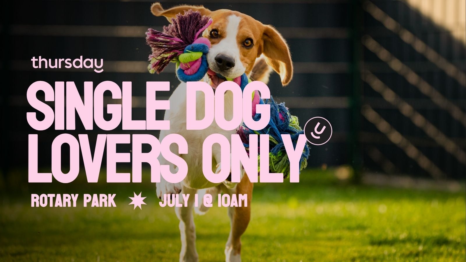 🇨🇦 CANADA DAY | Dog Park Date (Ice Cream & Pooches) | Calgary