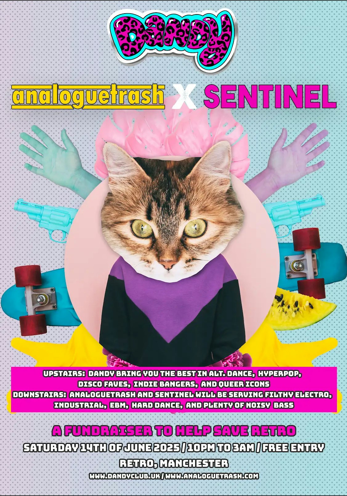dandy x analoguetrash: a fundraiser to help save Retro!