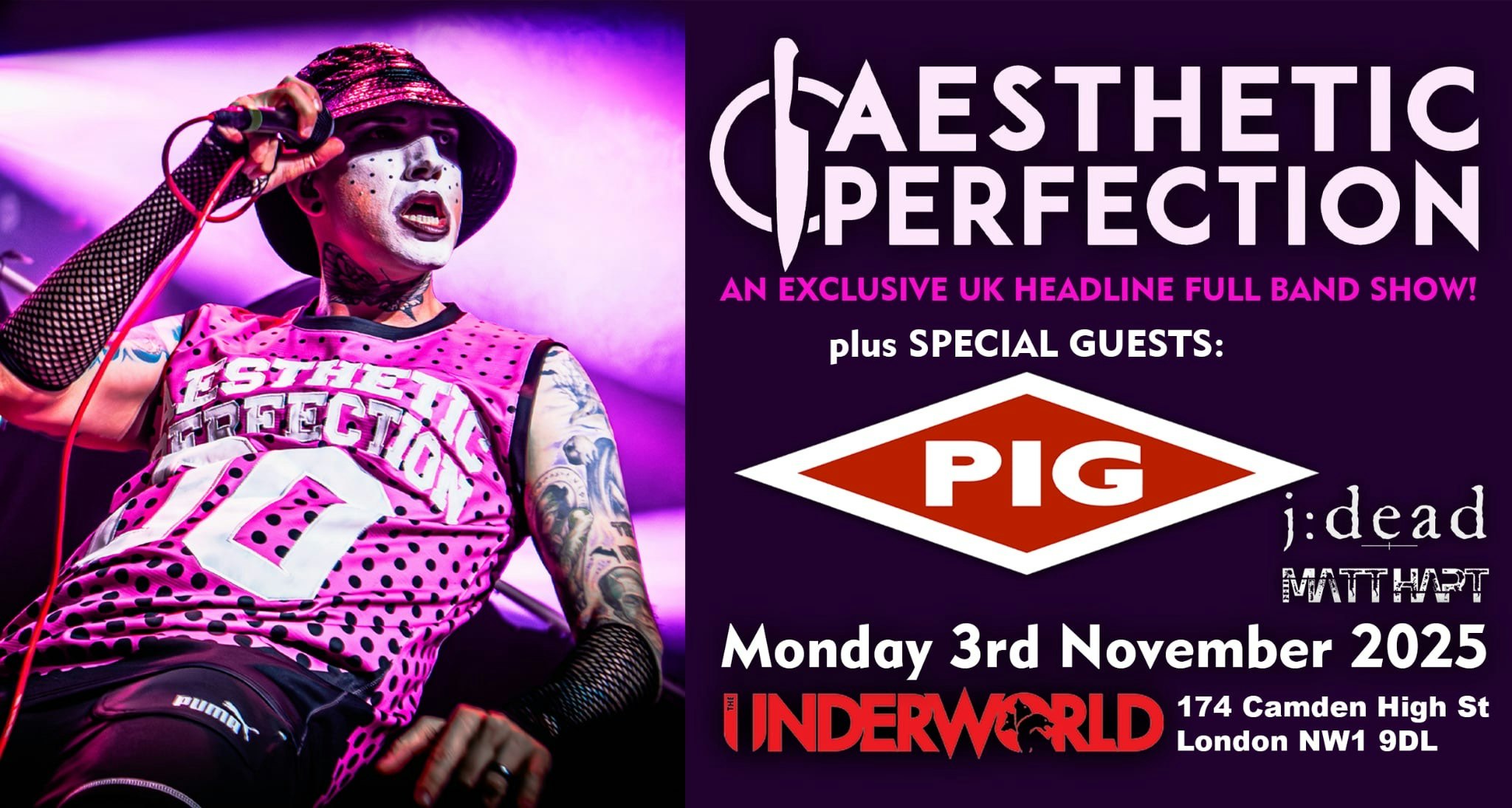 AESTHETIC PERFECTION + Special Guests:  PIG + J:DEAD & MATT HART