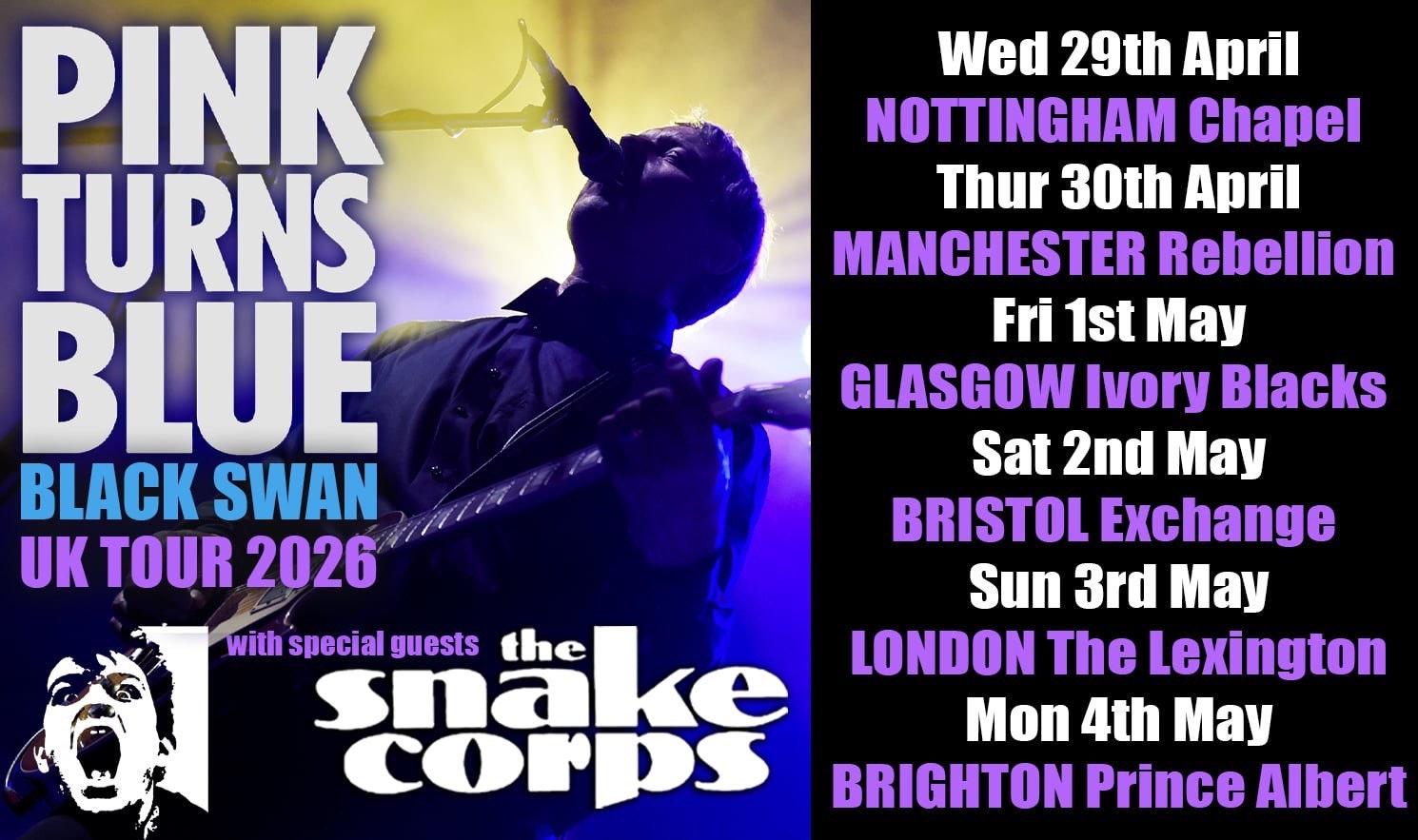 PINK TURNS BLUE – The Black Swan Tour | Brighton