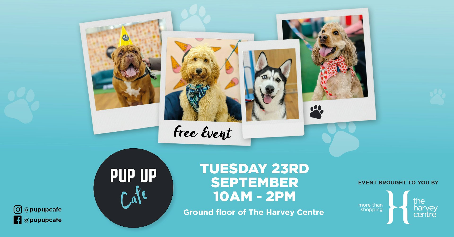 FREE: Pup Up Cafe at The Harvey Centre 🐶