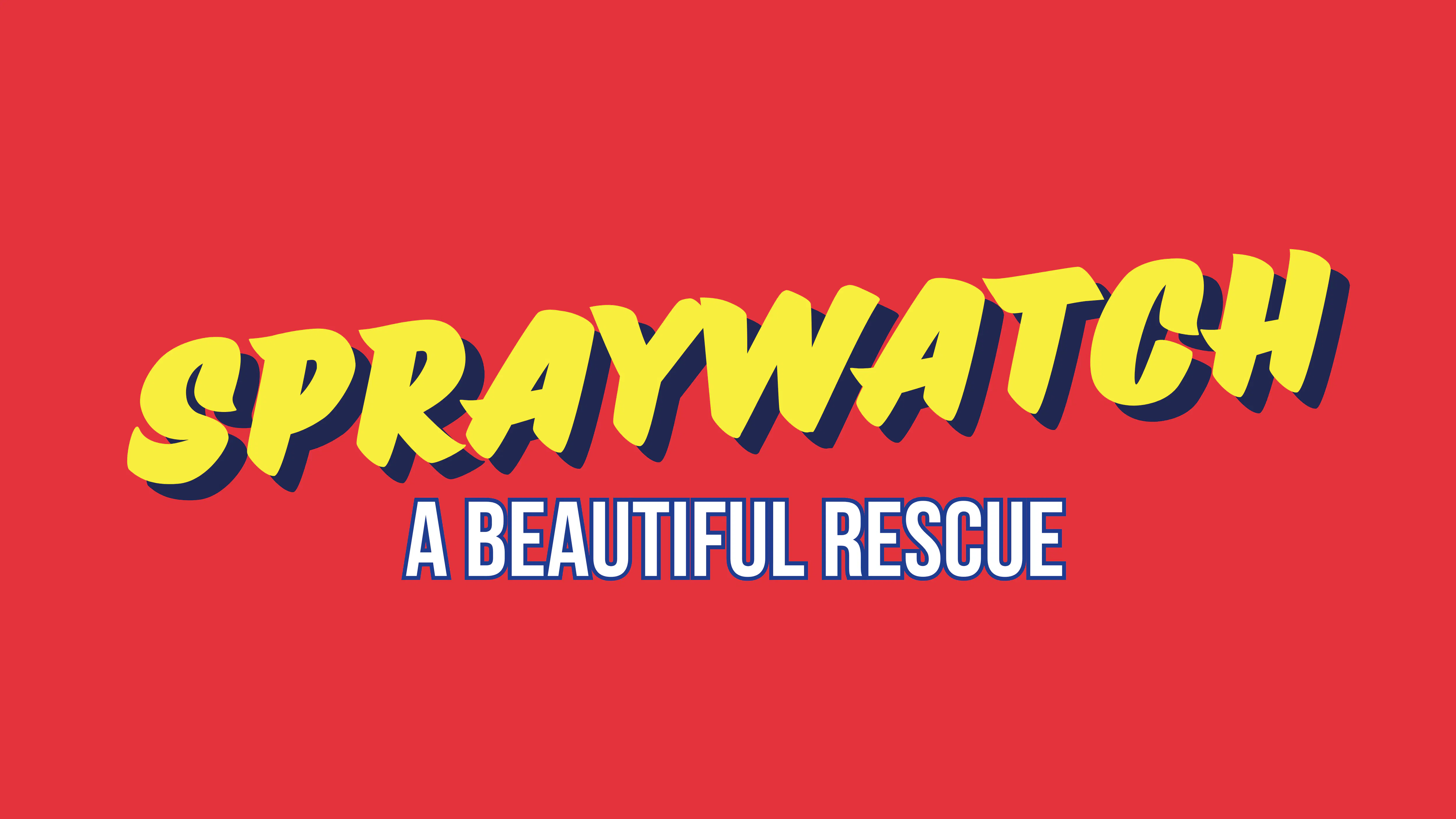 Spraywatch: A Beautiful Rescue at The Kings Arms, Salford on 22nd Oct ...