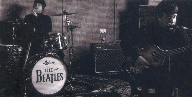 Plastic Beatles