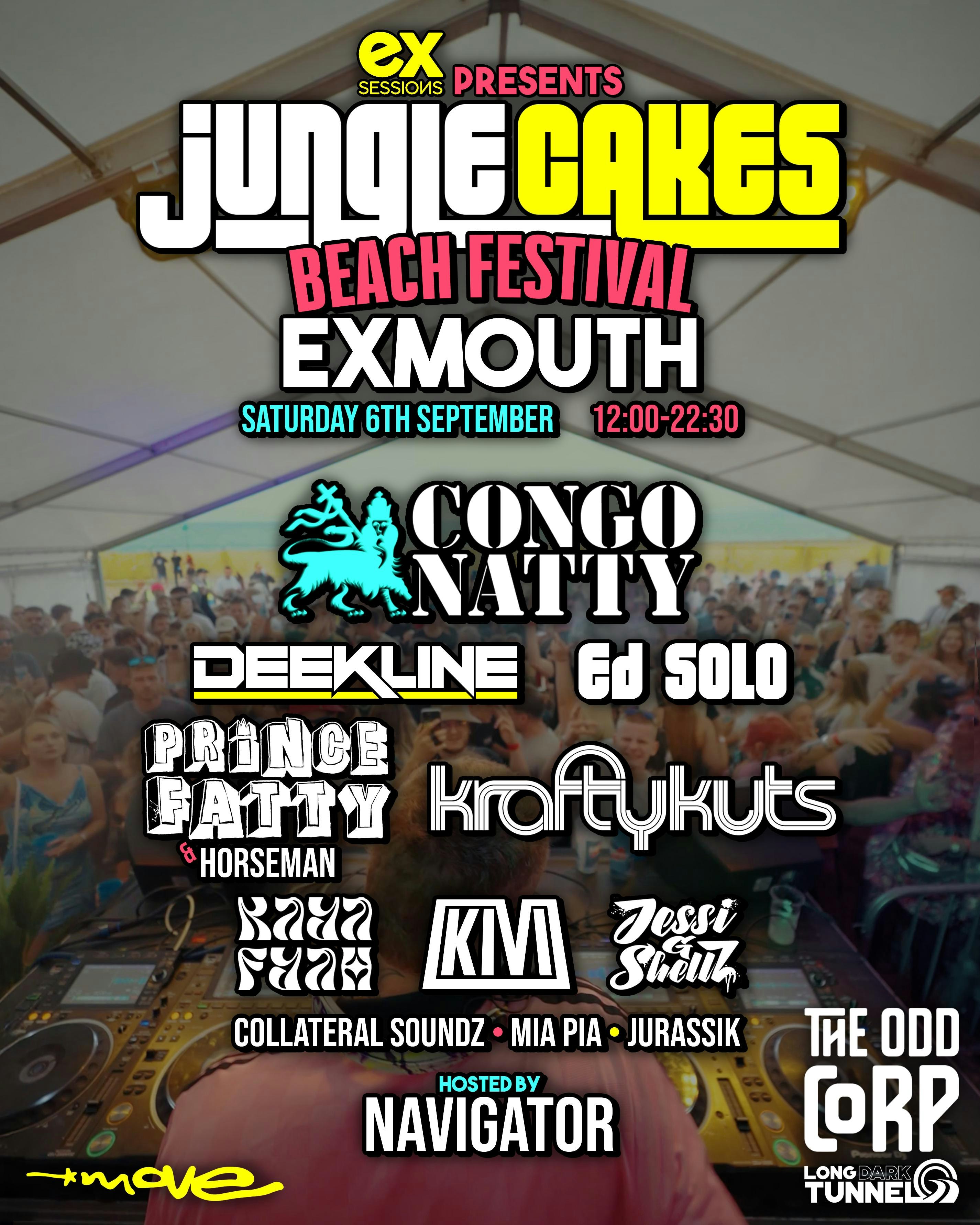 JUNGLE CAKES ON THE BEACH EXMOUTH SEPT 6th
