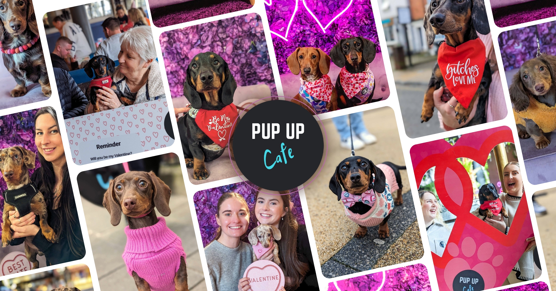 Sheffield – Dachshund Pup Up Cafe 💞