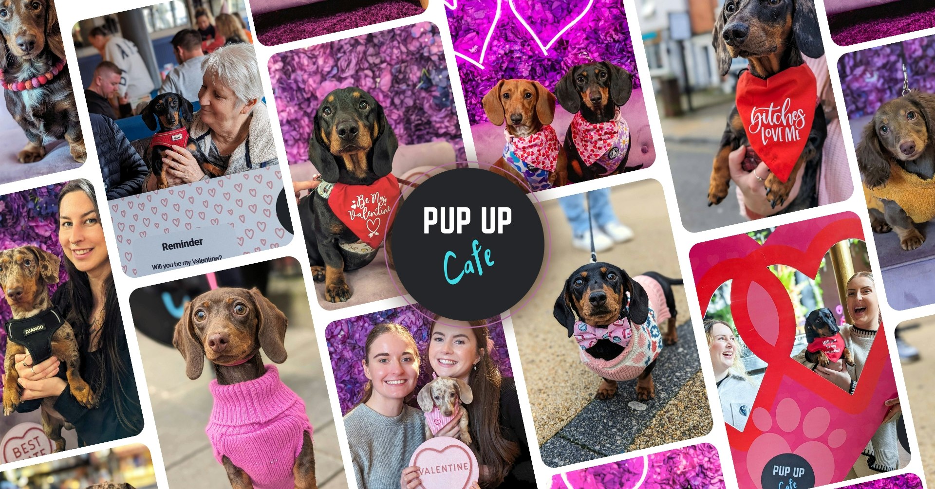 Sheffield – Dachshund Pup Up Cafe 💞