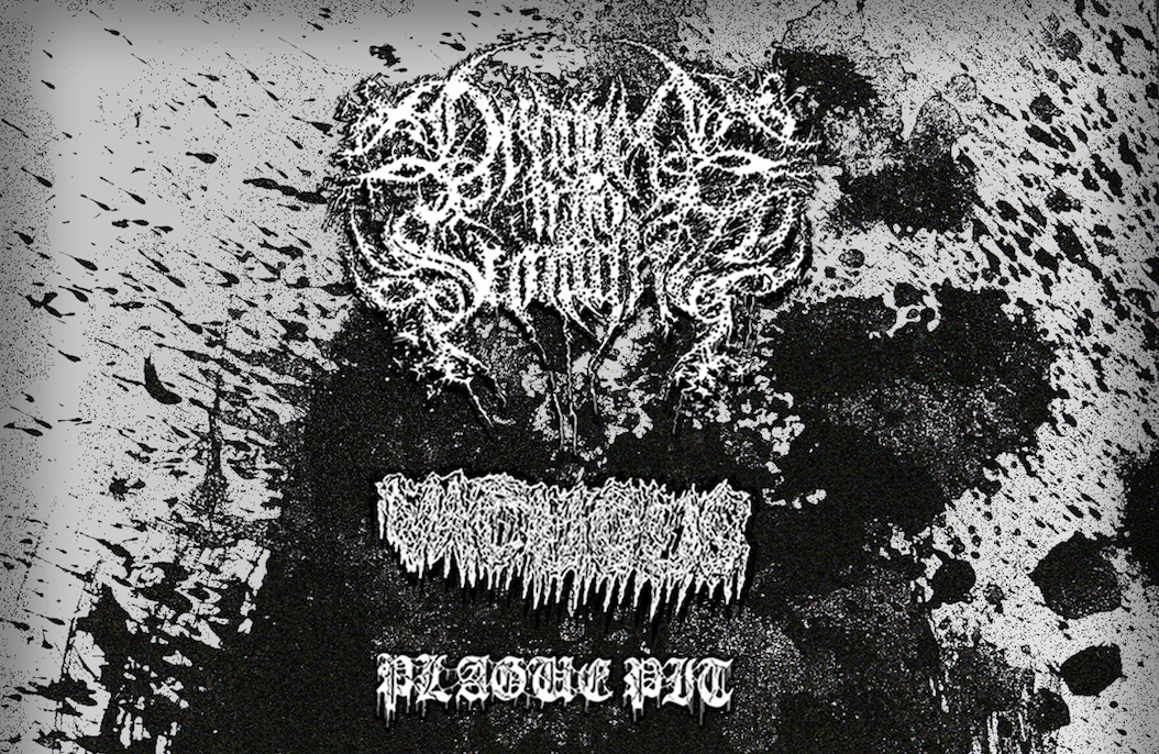 Dragged Into Sunlight