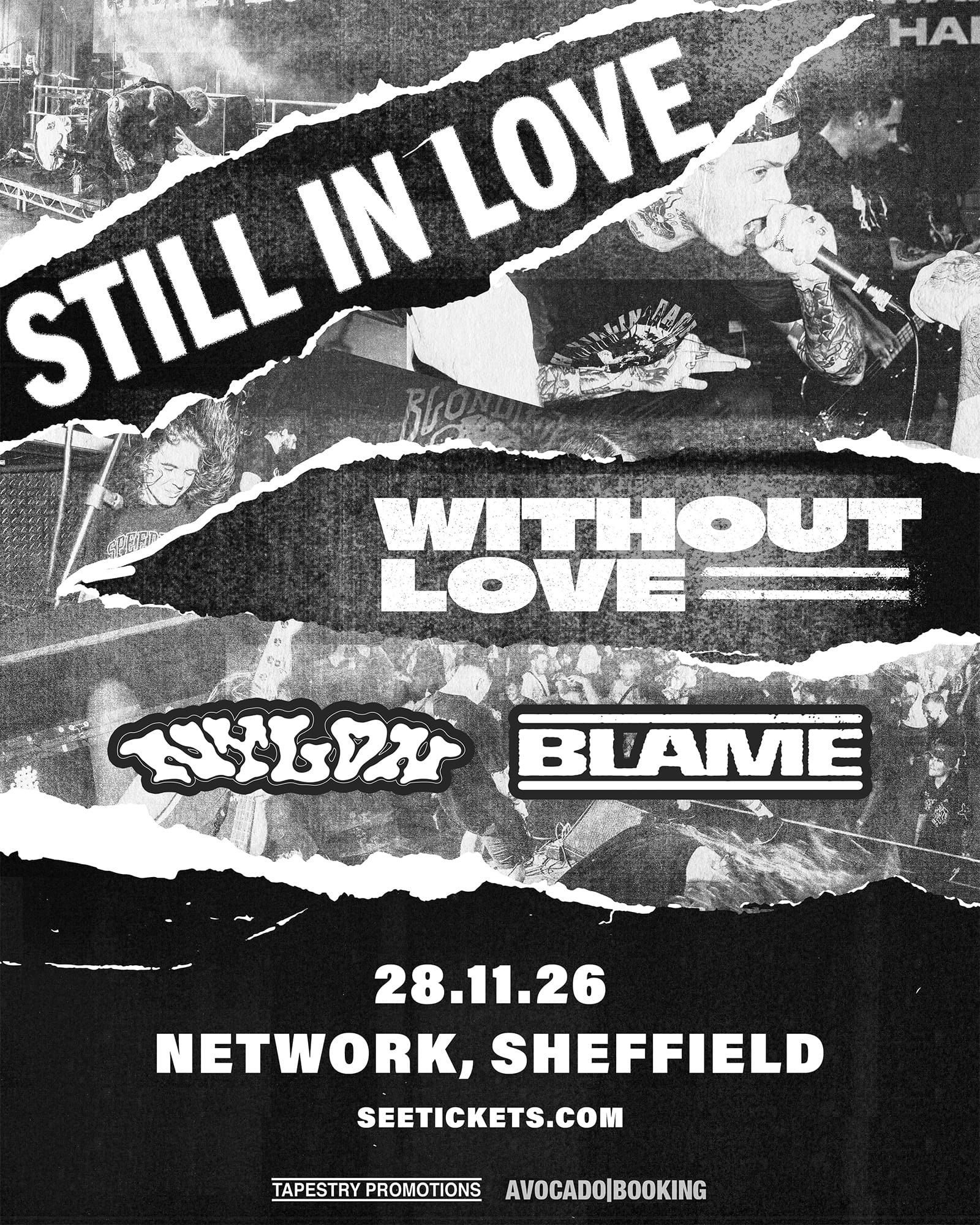 Still In Love | Network 3