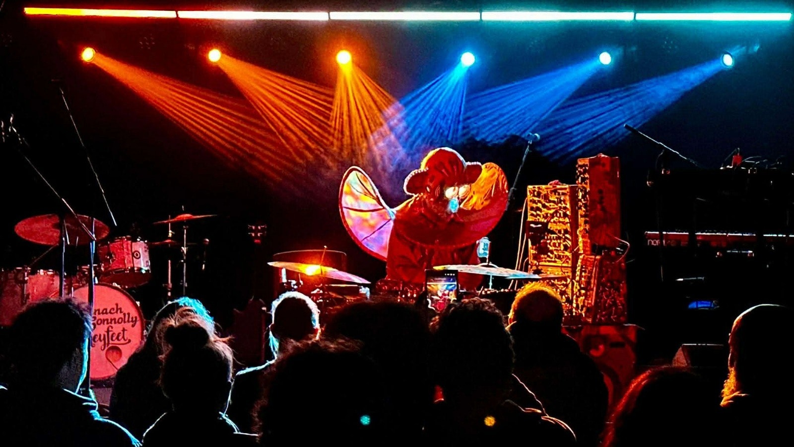 Paddy Steer – Saturday 7th March 2026 | Sunbird Records, Darwen