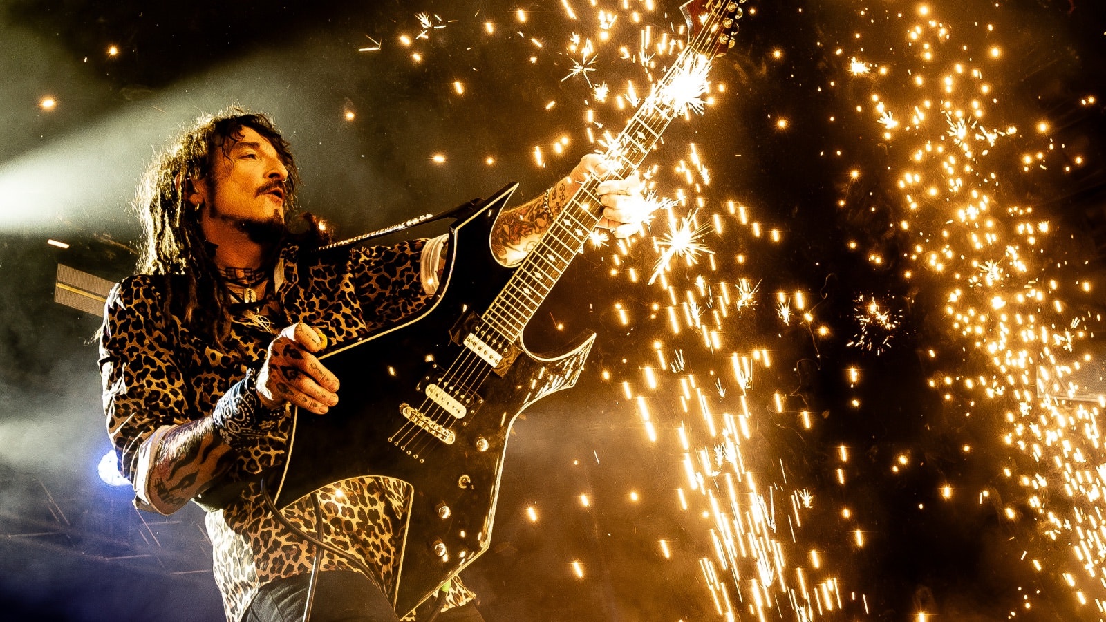 The Wildhearts | Hull