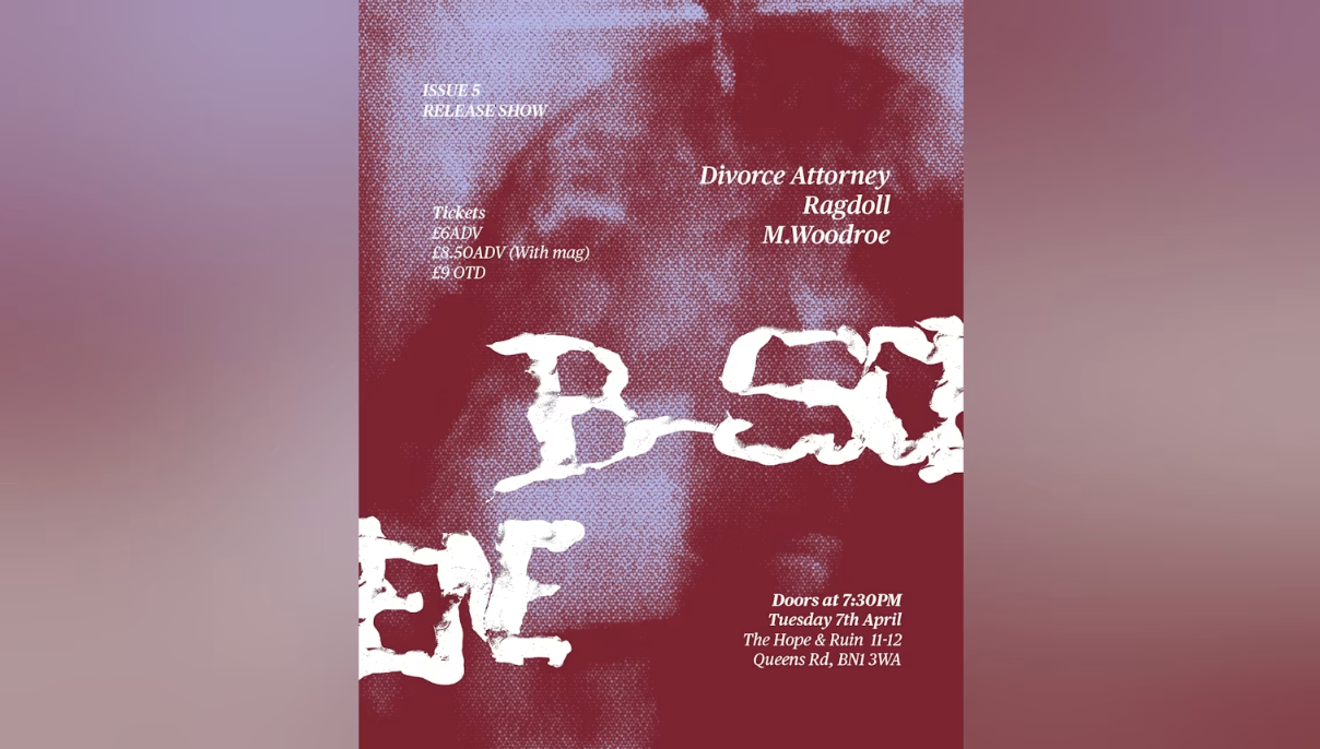 Divorce Attorney + Ragdoll + M. Woodroe