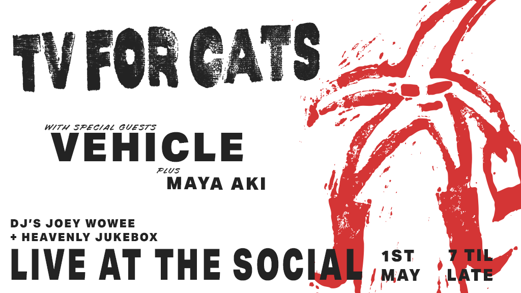 TV For Cats (Single Launch Party)