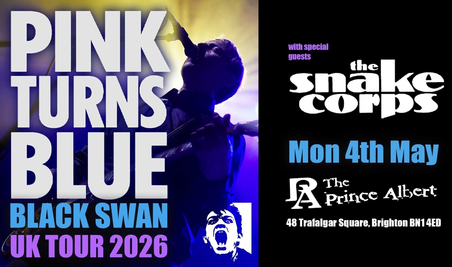 PINK TURNS BLUE – The Black Swan Tour + The Snake Corps
