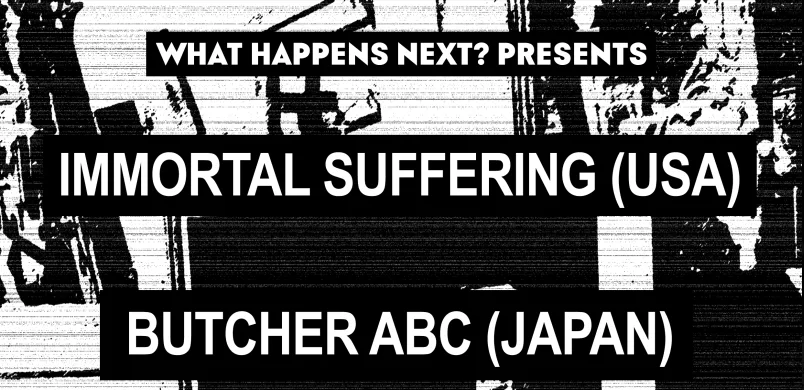 Immortal Suffering / Butcher ABC / Fecundation / Disgracing