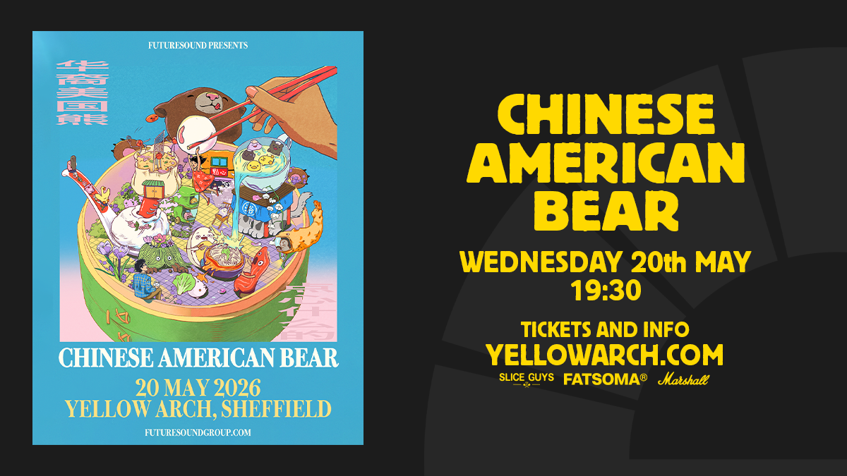 Chinese American Bear