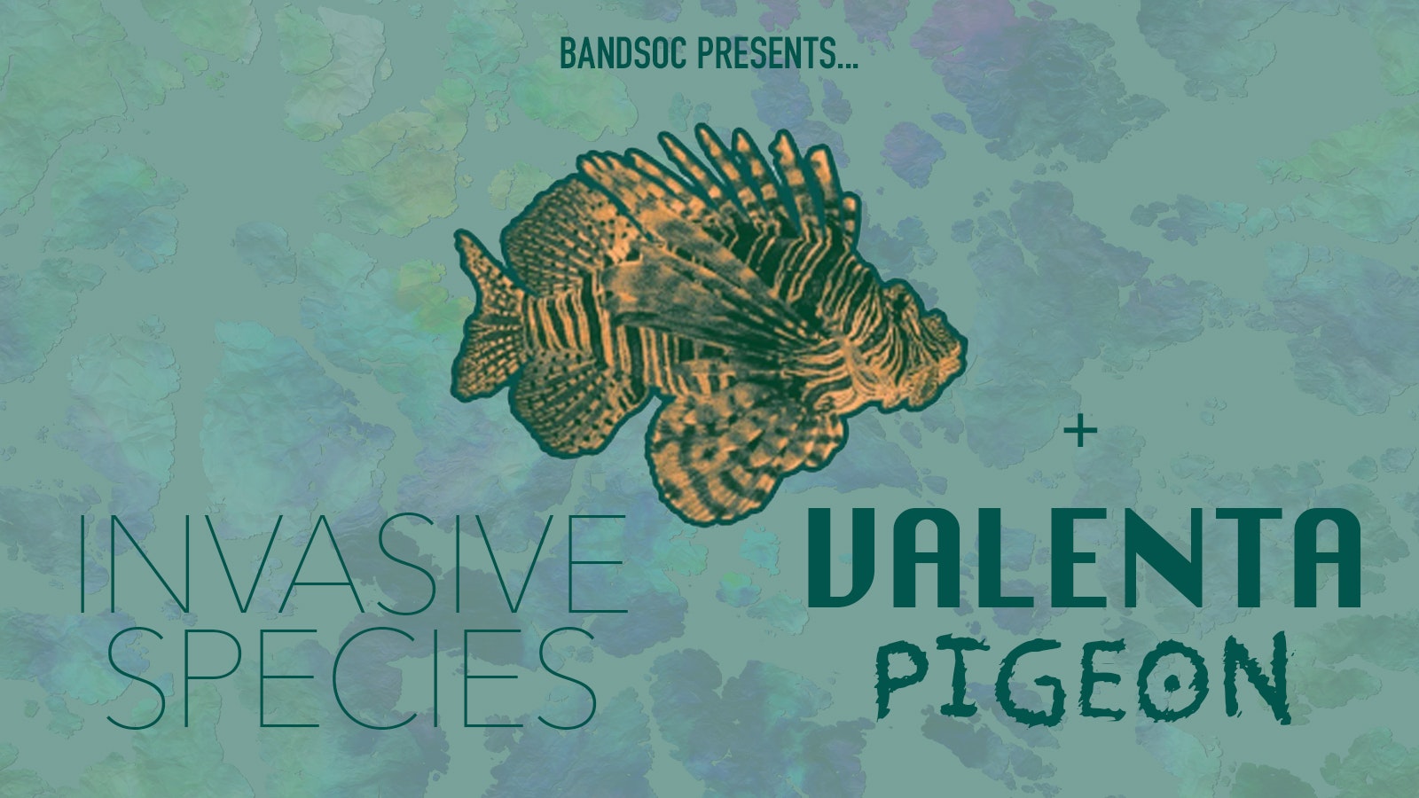 BANDSOC PRESENTS… INVASIVE SPECIES | VALENTA | PIGEON