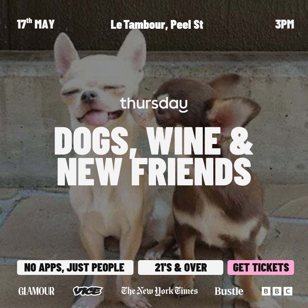 Thursday | Dogs, Wine & New Friends | Le Tambour 🐾🍷