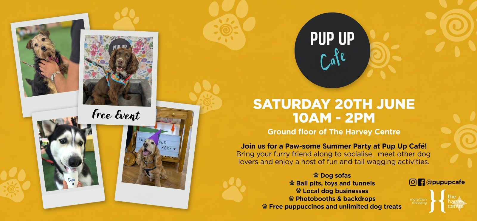 FREE: Pup Up Cafe at The Harvey Centre 🐶