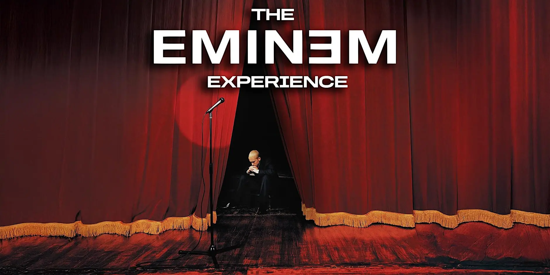 The Eminem Experience
