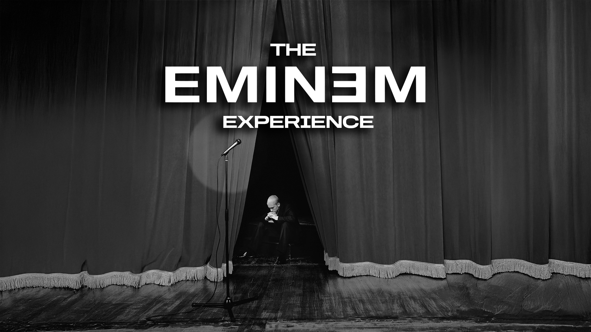 The Eminem Experience in Newcastle