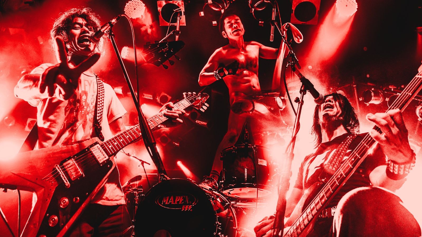 Electric Eel Shock