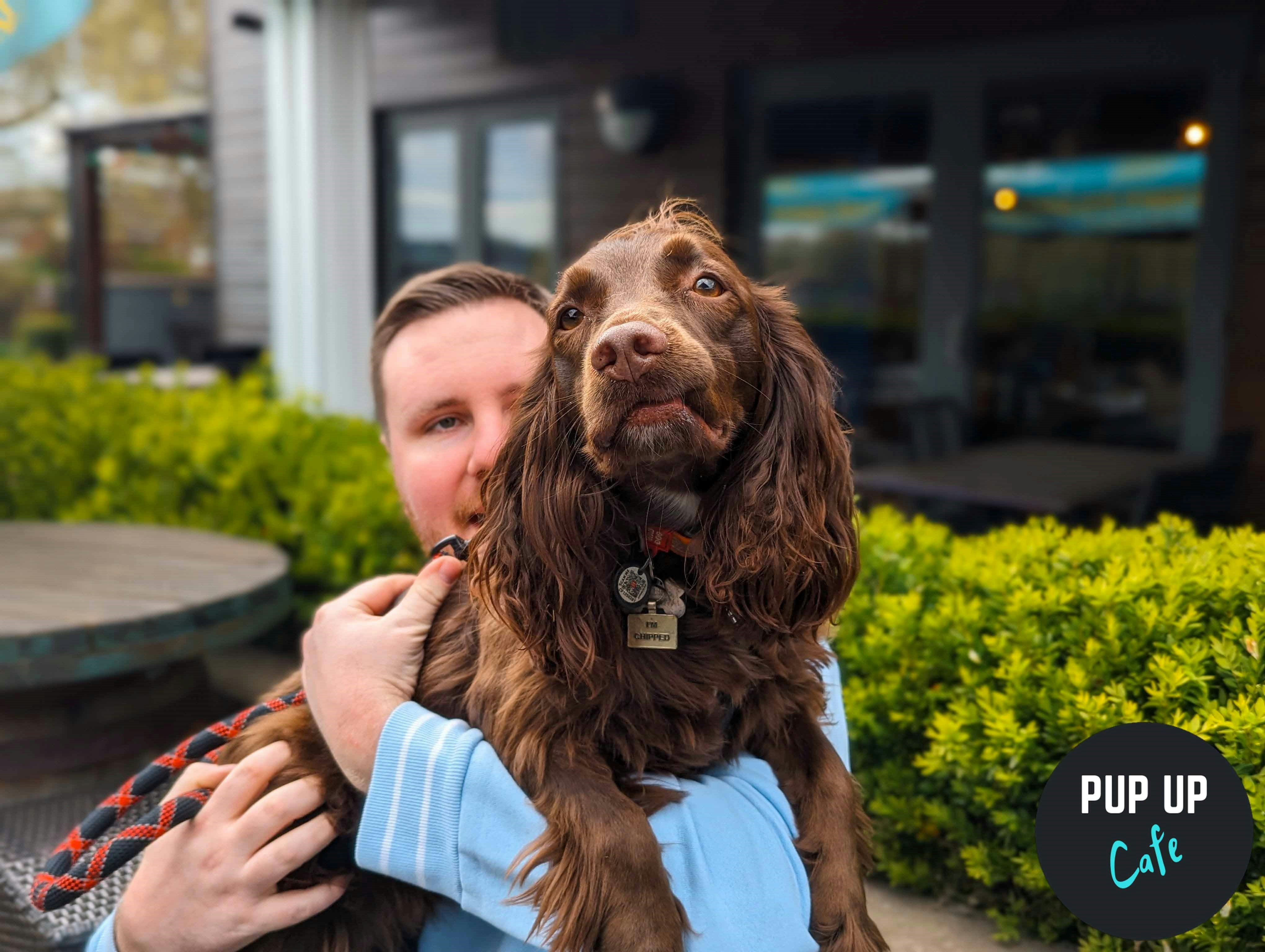 Bristol – All Paws Pup Up Cafe ☀️