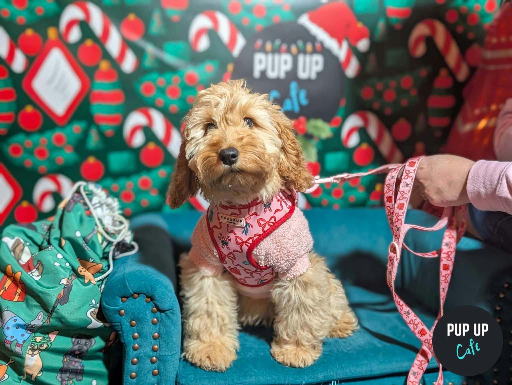 Glasgow – Dashing Doodle Christmas Tour 🎄