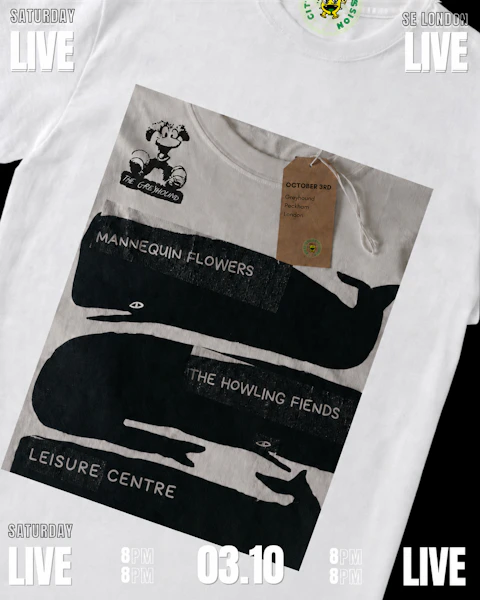 Mannequin Flowers, The Howling Fiends and Leisure Centre