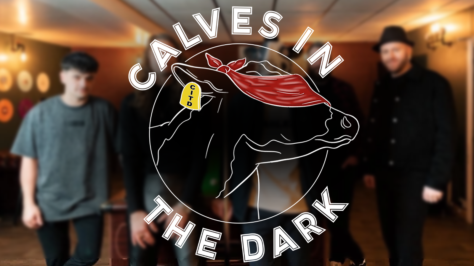 Calves in the Dark Live in Sheffield