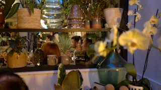 Plant Shop Sessions - 17th September