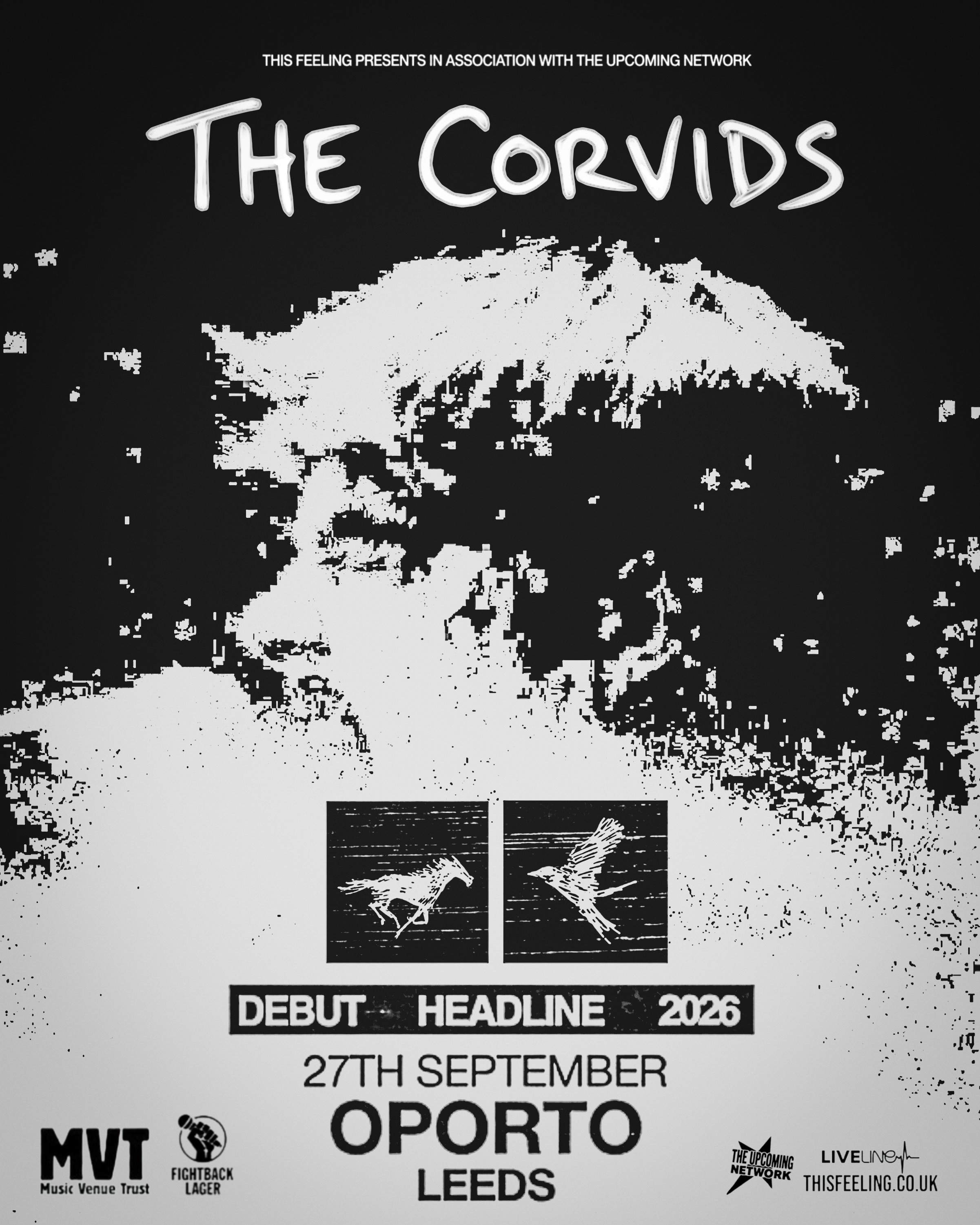 The Corvids