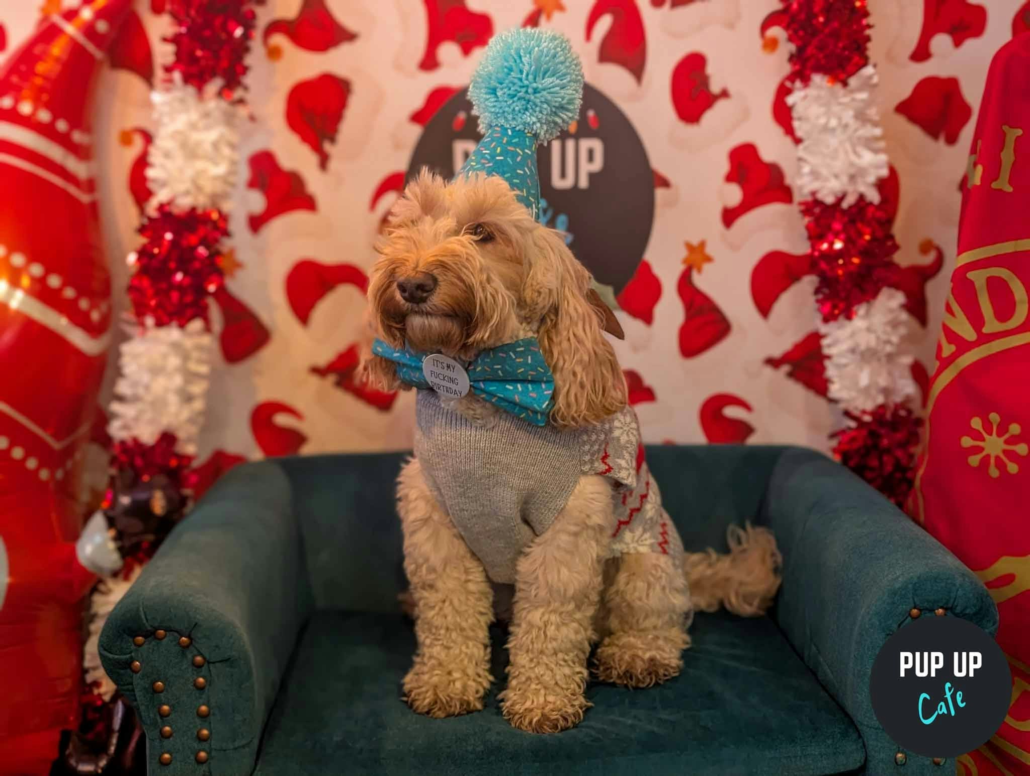 Liverpool – Dashing Doodle Christmas Tour 🎄