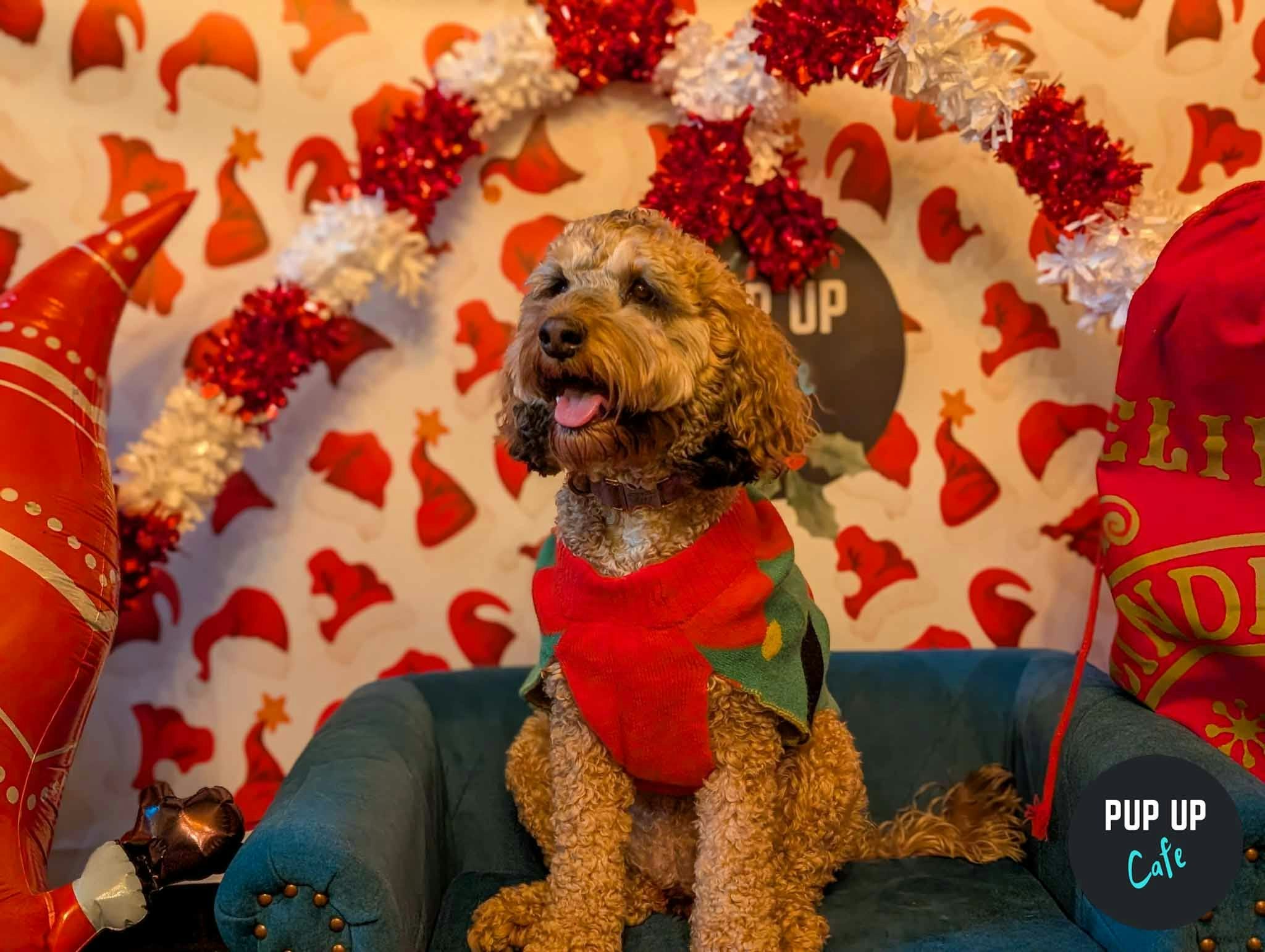 Bournemouth – Dashing Doodle Christmas Tour 🎄