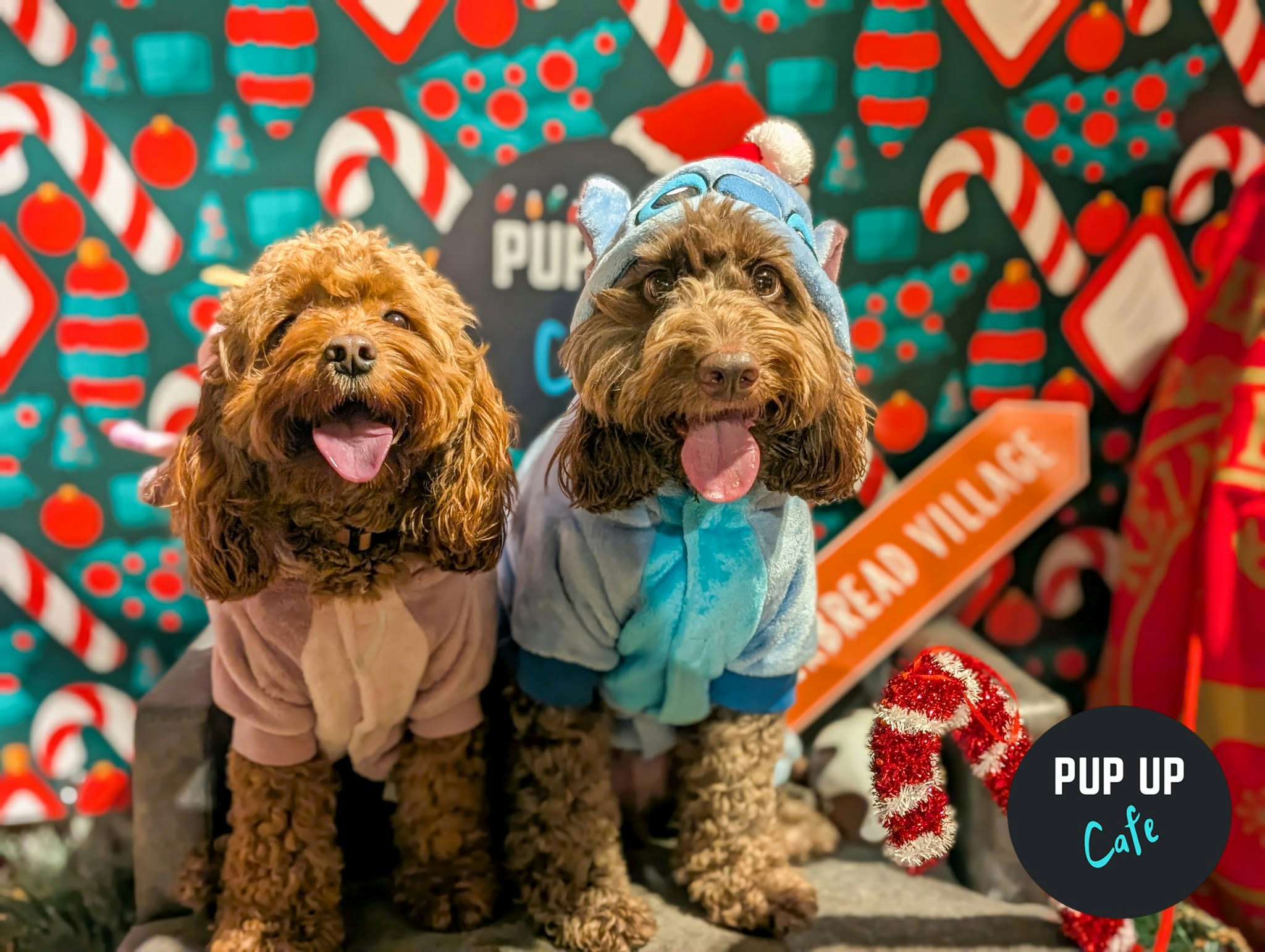 Birmingham – Dashing Doodle Christmas Tour 🎄