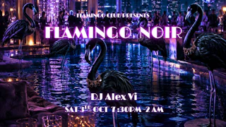 F L A M I N G O NOIR PARTY 🦩