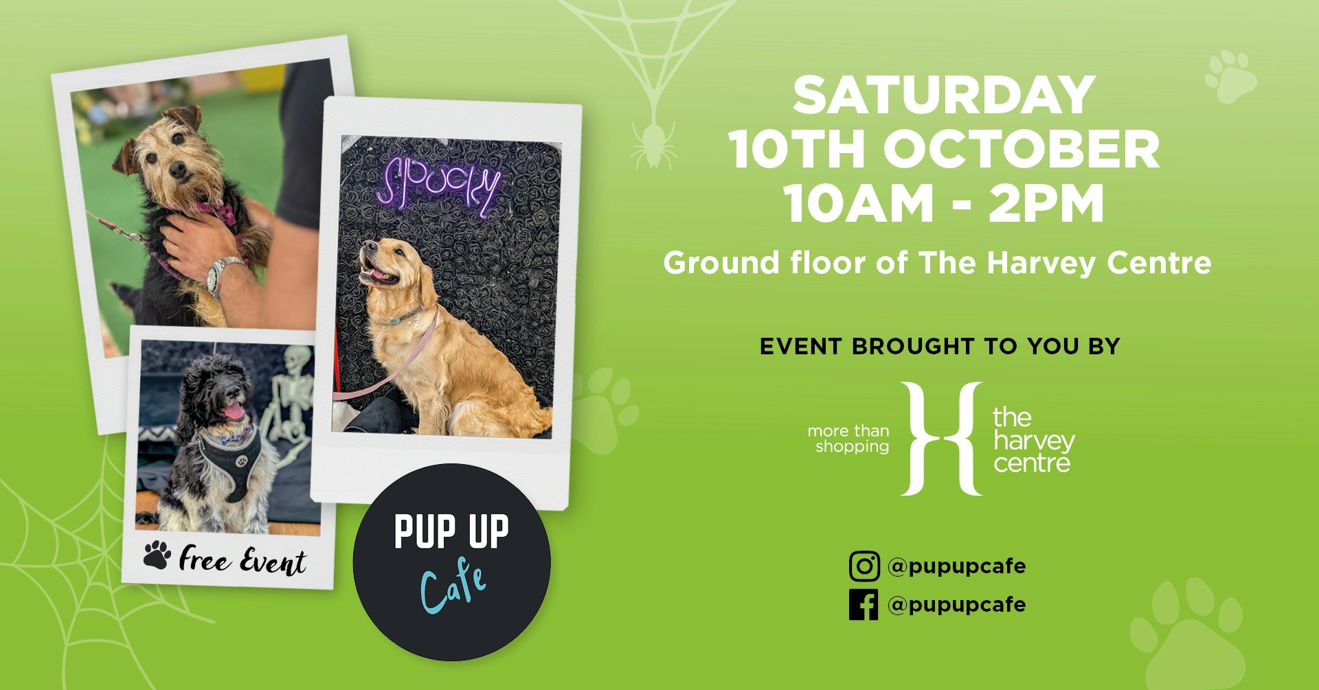 FREE: Halloween Pup Up Cafe at The Harvey Centre 🐶