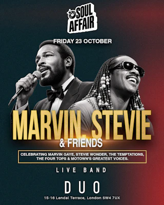 Soul Affair Marvin. Stevie & Friends