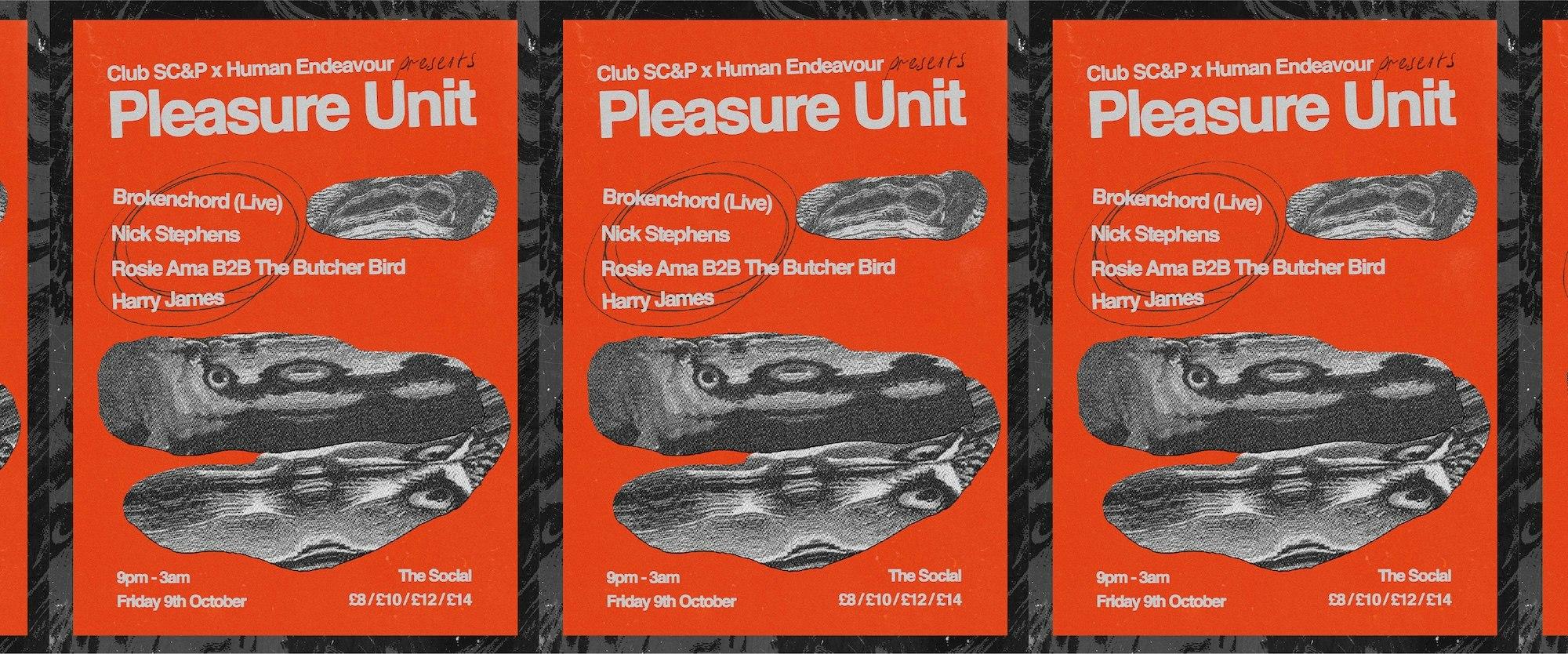 Pleasure Unit: Brokenchord (Live) + Rosie Ama + The Butcher Bird + Nick Stephens + Harry James