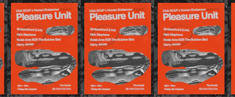 Pleasure Unit: Brokenchord (Live) + Rosie Ama + The Butcher Bird + Nick Stephens + Harry James