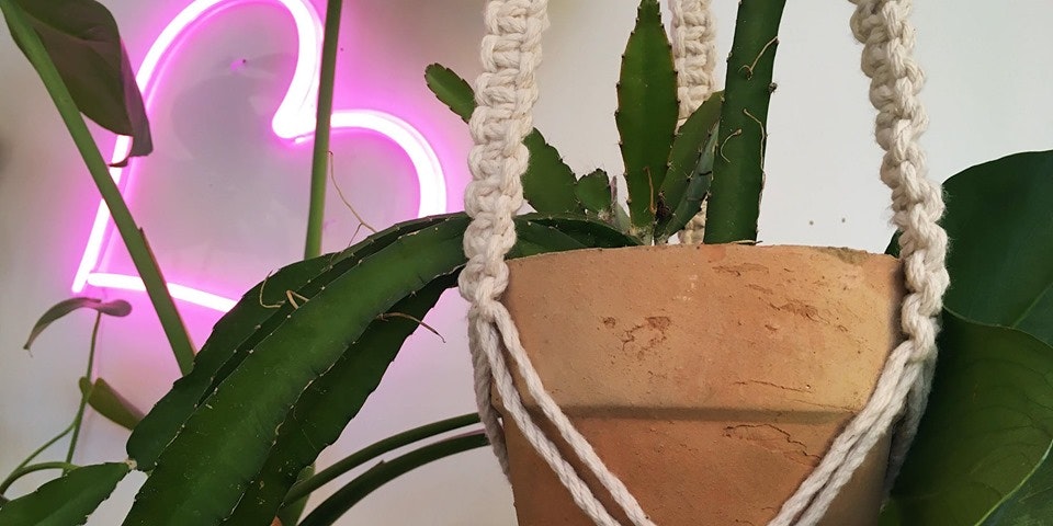 Cult Milk: Macrame Plant Hanger Workshop