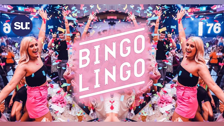 Bingo Lingo - Plymouth