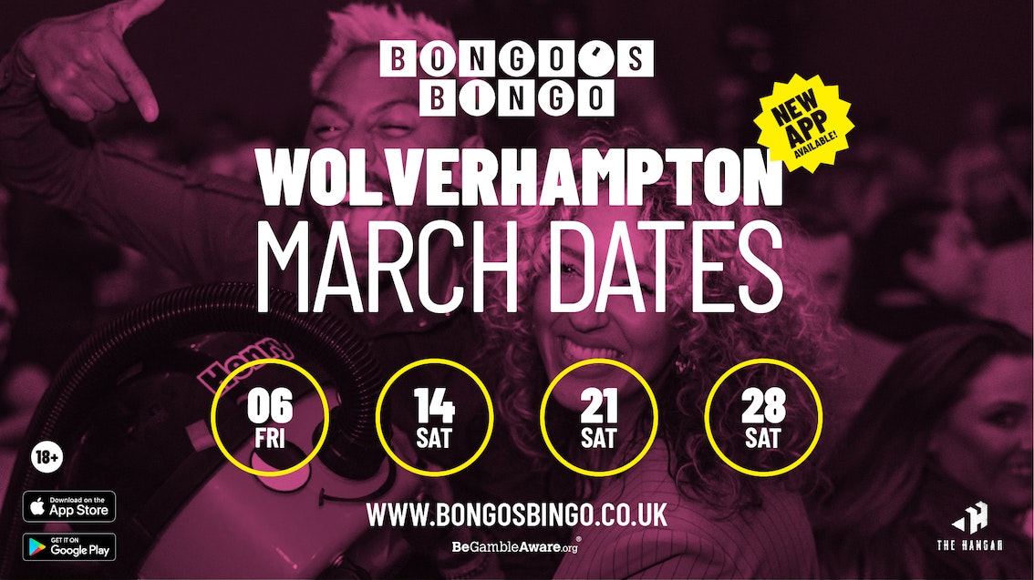 Bongo’s Bingo