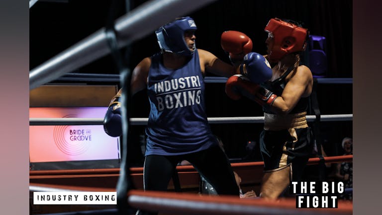 Industry Boxing - Volume 12