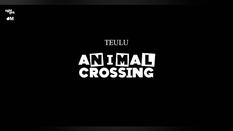 Teulu 005 | Animal Crossing